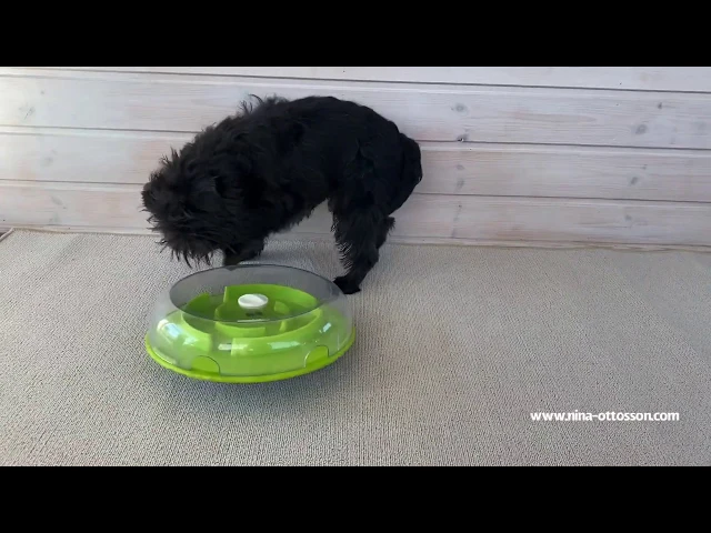 Nina Ottosson Wobble Bowl Food & Treat Dispensing Puzzle Dog Toy