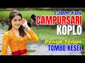 Download Lagu 1 JAM NONSTOP CAMPURSARI DANGDUT JAWA KOPLO ENAK DIDENGAR BASS EMPUK PENAK TENAN IKI TOMBO KESEL