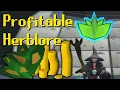 The Fastest Profitable Herblore Method Degrime