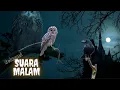 Download Lagu Relaksasi Suara Malam || Jangkrik, Katak, Burung Hantu, Gagak, Belalang, Nyamuk, Angin Malam