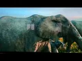 Download Lagu MUFAS the lion king ngomso