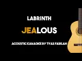 Labrinth - Jealous (Acoustic Guitar Karaoke Version)