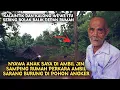 Lagu NEKAD! 45 TAHUN PAK SLAMET TINGGAL DI TENGAH HUTAN TERNYATA DIA MASIH KETURUNAN WALI