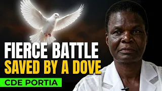 How A Dove Saved Me After Fierce Battle Cde Portia