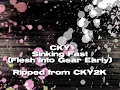 CKY - Sinking Fast (Flesh Into Gear)