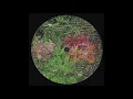 Lagu B2. Amygdala - Indefinable Bonds [YLGR002]