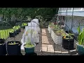 Building a small enclosed garden using Vego Raised Beds and Vigoro No-dig Fence