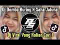 Download Lagu Dj Domba Kuring X Saha Jaluna Viral Tiktok Yang Kalian Cari!