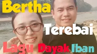 Download Terebai (Bertha) Lagu Dayak Iban Sebaruk MP3