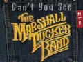 Download Lagu The Marshall Tucker Band - Can't You See