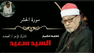الشيخ السيد سعيد سوره الحشر 