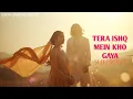Lagu Tere Ishq Mein Kho Gaya  Sufi | Romantic | Heart Touching | Qawwali Vibes
