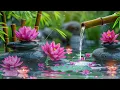 Relaxing Zen Music – Peaceful Bamboo, Water Sounds, Spa Ambience and Healing BGM, Deep Sleep Music