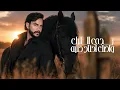 حبيب علي - اكتبلك رسالة | حصريا 2026