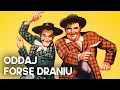 Download Lagu Oddaj Forsę Draniu | KOMEDIA | Polski Lektor