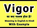 Vigor meaning in Hindi Vigor ka kya matlab hota hai Daily Use English Sentences