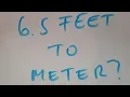 6 5 feet to meters