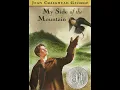 My Side Of The Mountain Disc 3 Read by Jeff Woodman