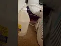 Download Lagu HOW TO DRAIN PORTABLE A/C 😎❤️💪 #viral #toshiba#airconditioner#diy#trending#shortsfeed#drain#fun