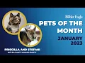Butler Eagle Pets of the Month - January 2023
