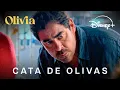 Cata de olivas con Pablo Chiapella Nancho Novo y Maria Schwinning Olivia Disney