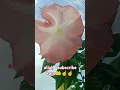 Download Lagu Allah ka ek naam az zahir#like  99 names of allah#☝️🤲🕌🌍💯