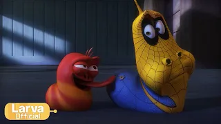 Spider Larva | Animation Compilation | Larva Tuba | Official
