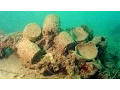 Secrets of the Sea A Tang Shipwreck and Early Trade in Asia