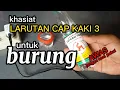 Download Lagu Khasiat larutan cap kaki tiga untuk burung