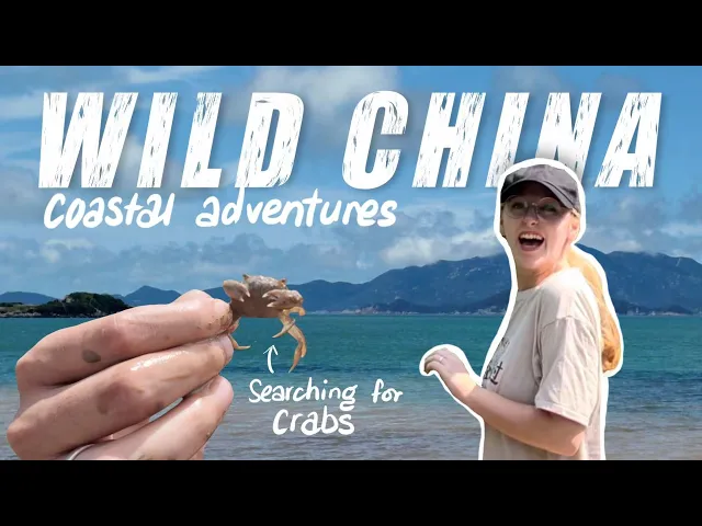 We Found Wild Crabs On This Remote Chinese Island 🦀