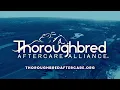 Gulfstream Park Replay Show April 3 2026