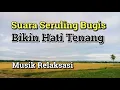 Suara Seruling Bugis dan Kicauan Burung Cocok dijadikan musik pengantar tidur || Musik Relaksasi