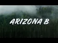 ARIZONA B - BUDOTS TIKTOK TRENDING  DJ RONZKIE REMIX 2025