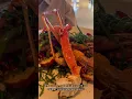 Download Lagu THE SEAFOOD BAR UTRECHT #seafood #lobster #food