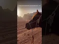 Download Lagu Have you ever seen a whirlwind form in the desert?