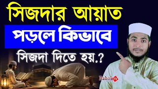 সিজদার আয়াত পড়লে কিভাবে সিজদা দিতে হয় | সিজদায়ে তিলাওয়াতের সঠিক নিয়ম | sijdar ayat