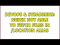 DevOps SysAdmins Nginx not able to fetch files in location alias