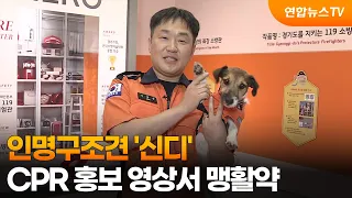 [출근길인터뷰] 인명구조견 '신디'…CPR 홍보 영상서 맹활약 / 연합뉴스TV (YonhapnewsTV)