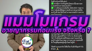 แรงกดที่ใช้ในการตรวจแมมโมแกรมมีมากแค่ไหน และทำให้เจ็บไหม
