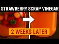 Strawberry Scrap Vinegar - 2 Weeks Later Strain Check Progress
