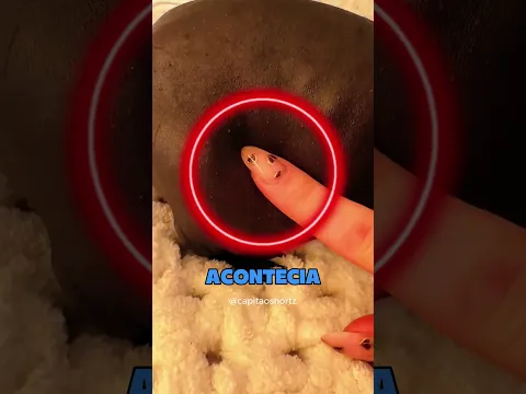 ELE VIROU UMA CAIXA DE SOM
