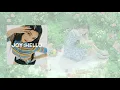 【韓繁中字歌詞】조이 JOY (朴秀榮) (feat. 폴킴 Paul Kim) - If Only 좋을텐데 (該有多好)