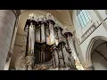 Download Lagu Kinderzang Dordrecht - Psalm 140 vers 1,7 en 13