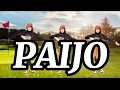 Download Lagu PAIJO#senamkreasi #paijo #senamsehatgembira 
