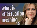 Effectuation meaning of Effectuation