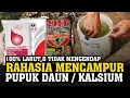 Lagu Penting.❗❗❗ Cara Mencampur Pupuk Daun Kalsium, MKP, Ultradap / MAP, NPK | Agar Tanaman Berbuah Lebat