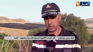                                                                                                     دندنها