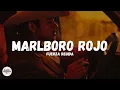 Lagu FUERZA REGIDA - MARLBORO ROJO (Letra)