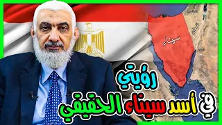رؤيتي في أسد سيناء الحقيقي 