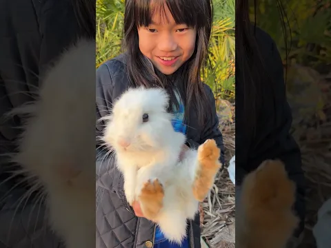 I love my rabbit #petrabbit #petrabbits
